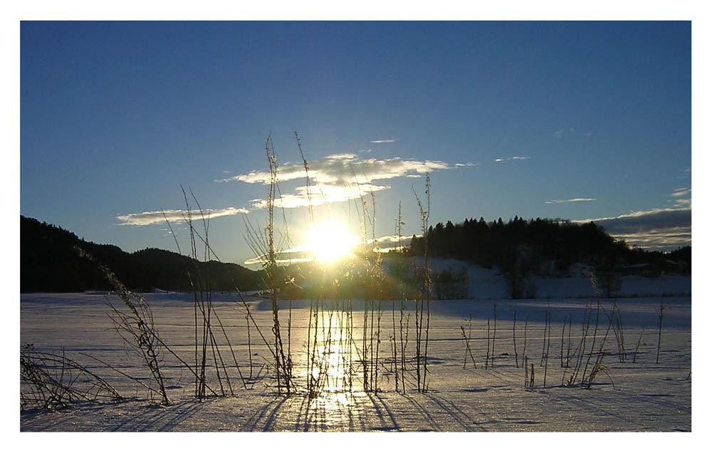 фото "Winter mood II" метки: пейзаж, зима