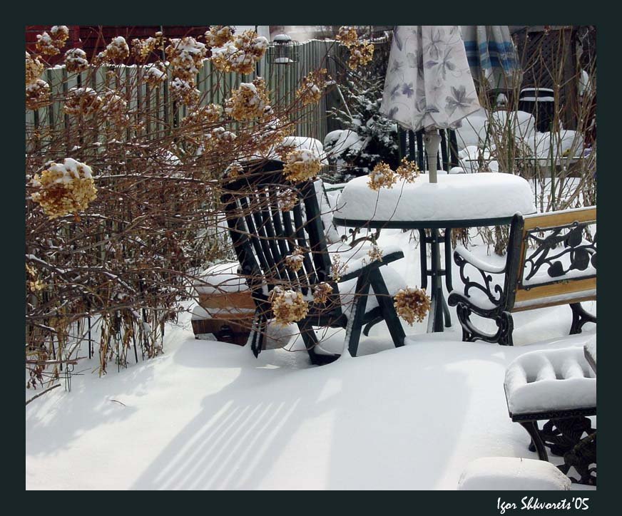 photo "Backyard winter" tags: landscape, nature, winter