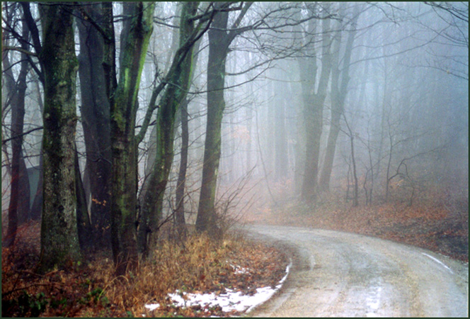 photo "***" tags: landscape, forest, winter