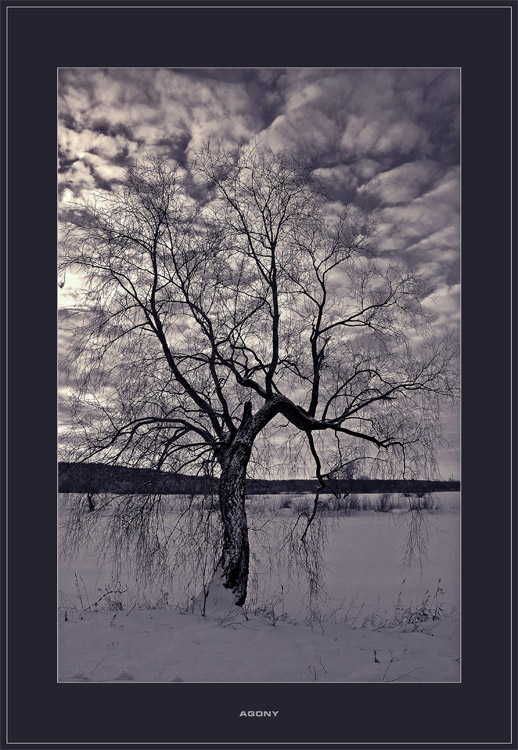 photo "Agony" tags: black&white, landscape, winter