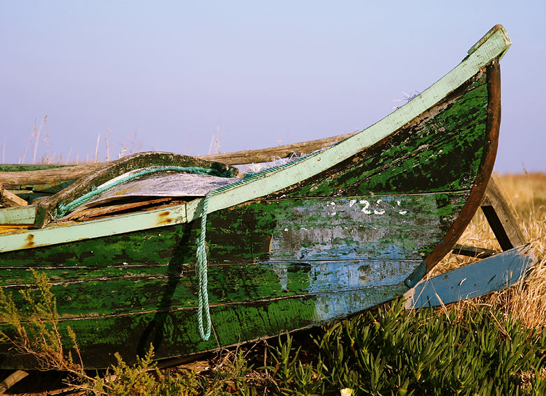 photo "Beached" tags: misc., still life, 