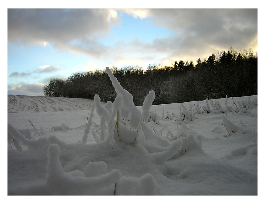 фото "New snow" метки: пейзаж, зима