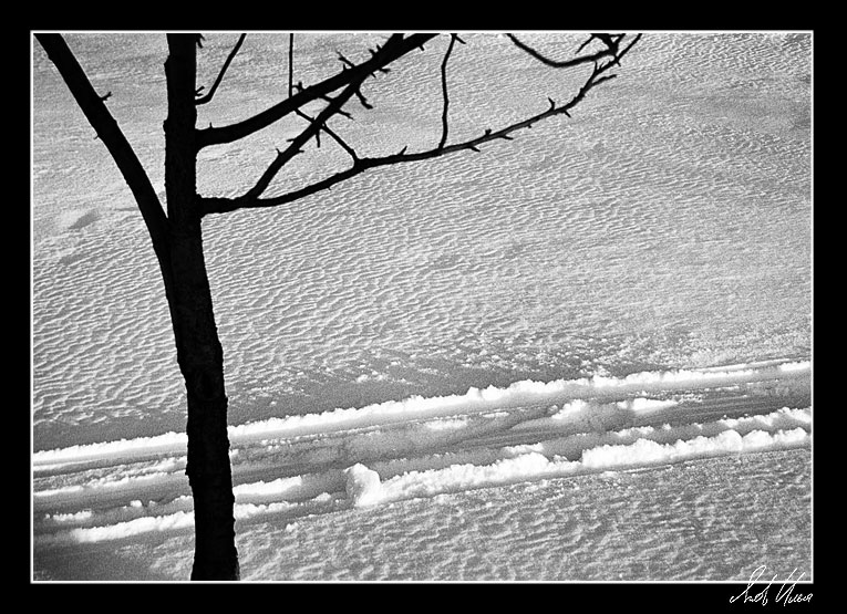 photo "* * *" tags: landscape, black&white, winter