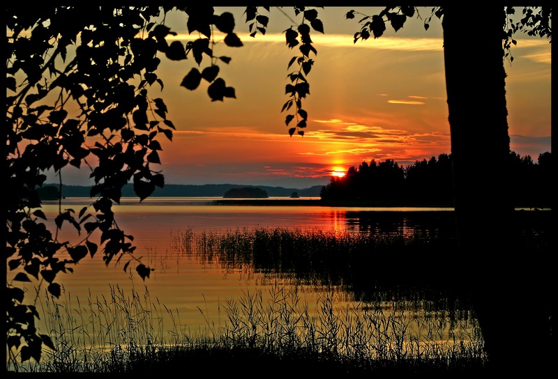 photo "The end of the day" tags: landscape, summer