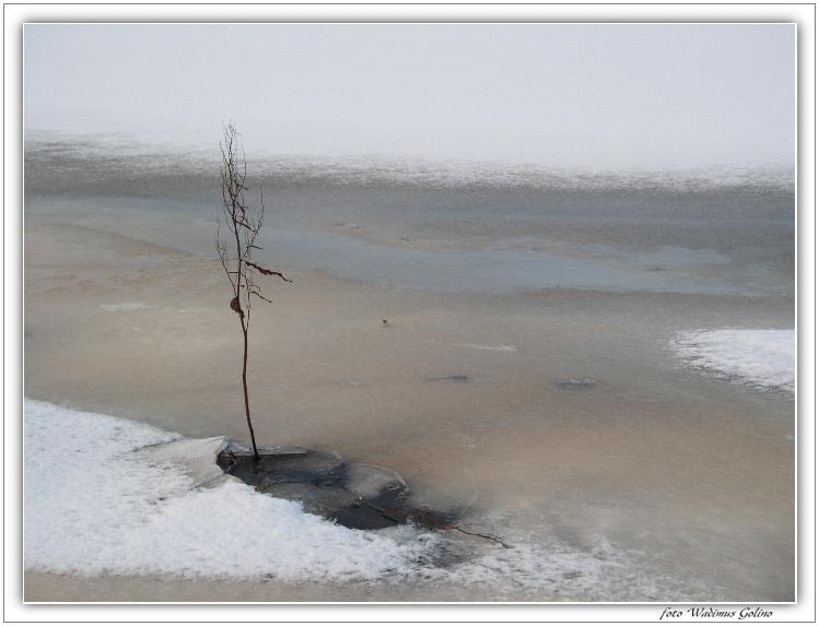 photo "Sad etude..." tags: landscape, genre, winter