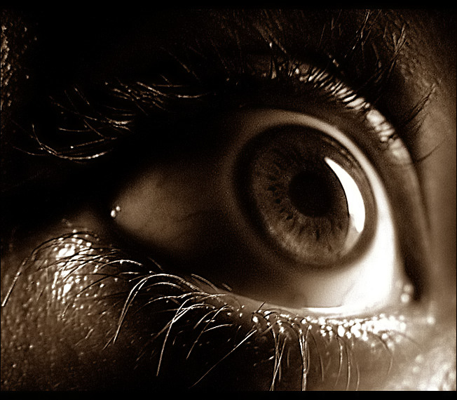 photo "eye glare" tags: macro and close-up, 