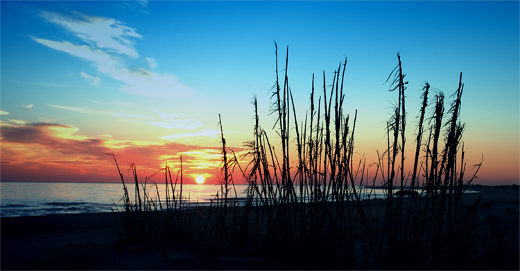 photo "Embracing the Sun" tags: landscape, sunset, water