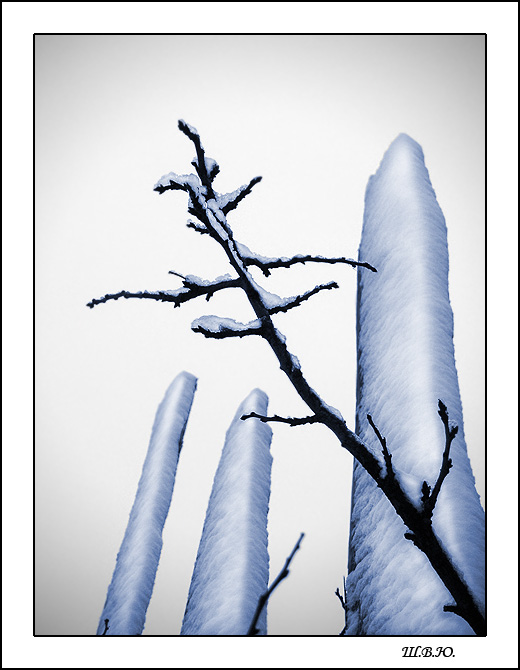 photo "leprosies of mother-winter" tags: landscape, nature, winter