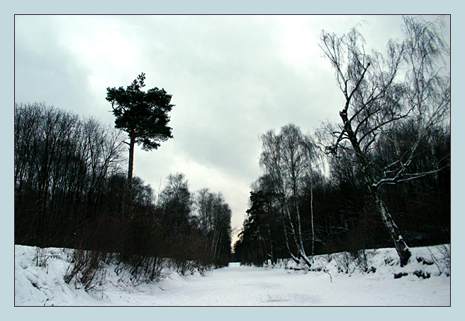 photo "Frozen Canal" tags: landscape, forest, winter