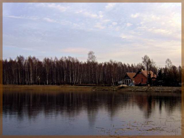 photo "Icy pond" tags: landscape, forest, water