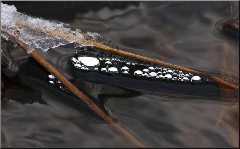 photo "winter brook" tags: nature, macro and close-up, 