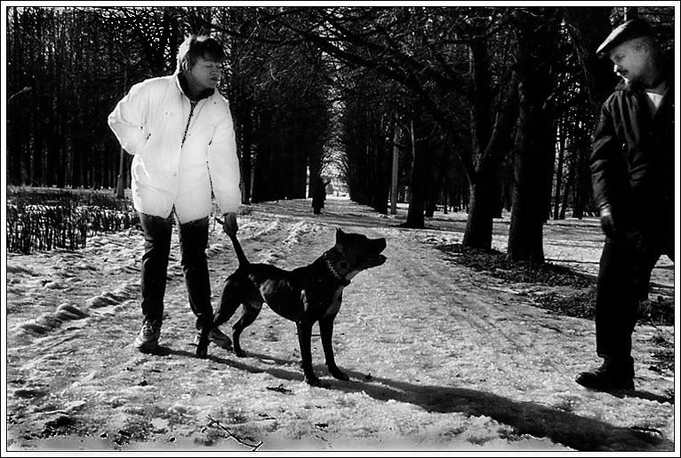 photo "Untitled photo" tags: genre, black&white, 