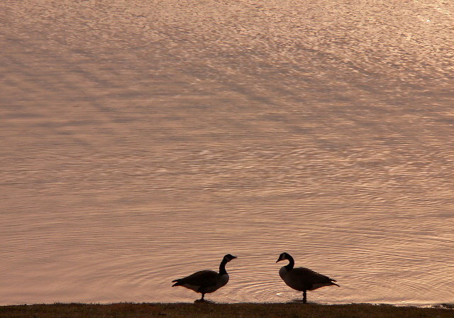 photo "face off" tags: landscape, sunset, water