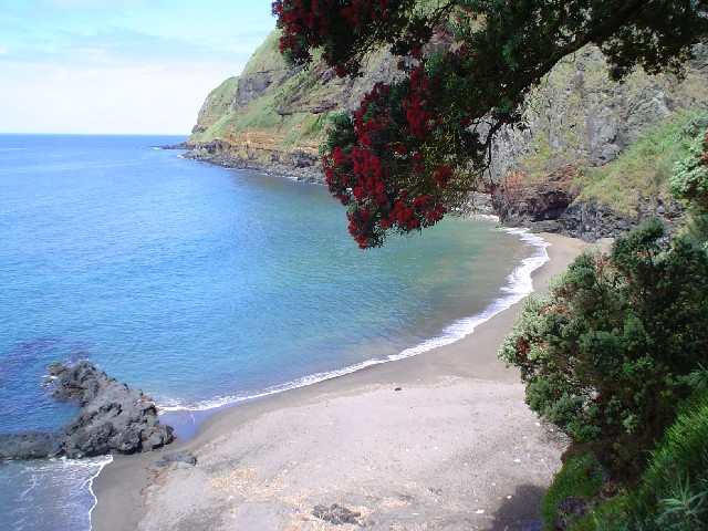 photo "Caloura I" tags: landscape, summer, water