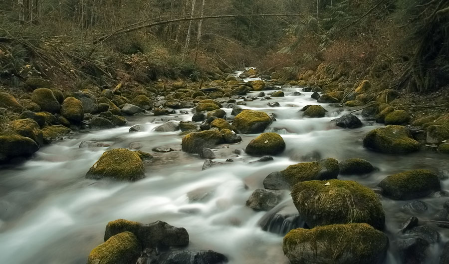 photo "Trout Creek" tags: landscape, water