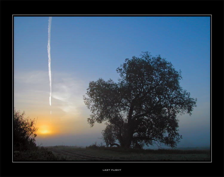 photo "Last Flight" tags: misc., landscape, autumn