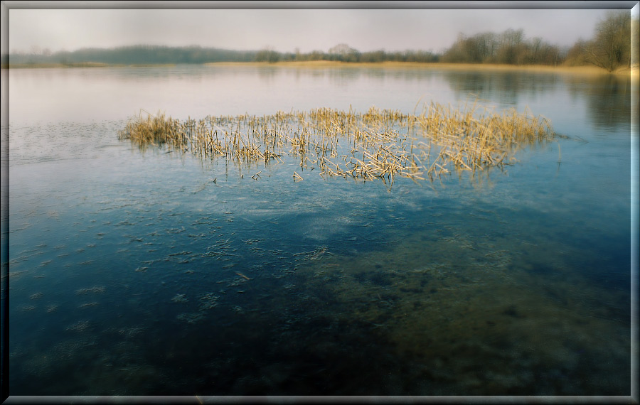 photo "Untitled photo" tags: landscape, water, winter