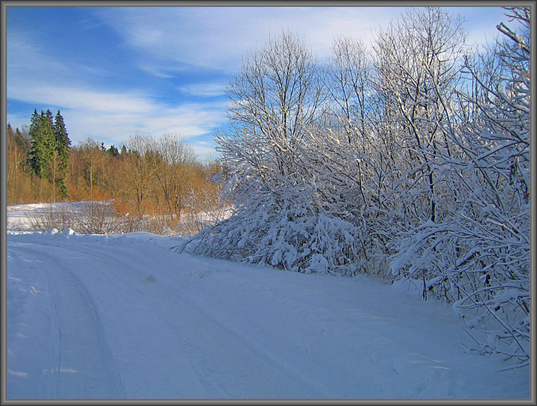 photo "A WInter Way" tags: landscape, forest, winter