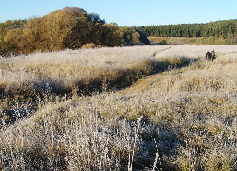 photo "Morning hoarfrost №2" tags: landscape, autumn