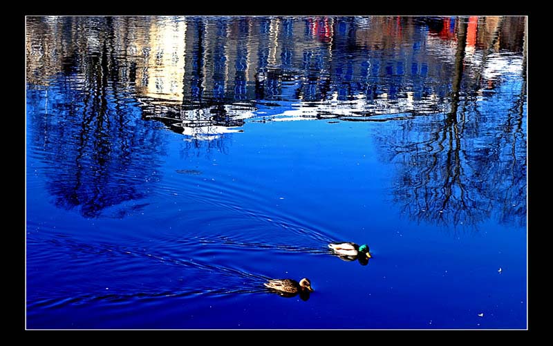 фото "*" метки: разное, пейзаж, вода