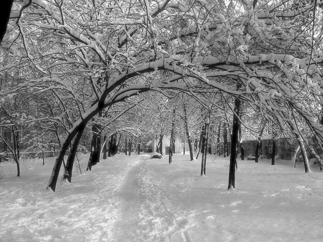 photo "way" tags: landscape, winter