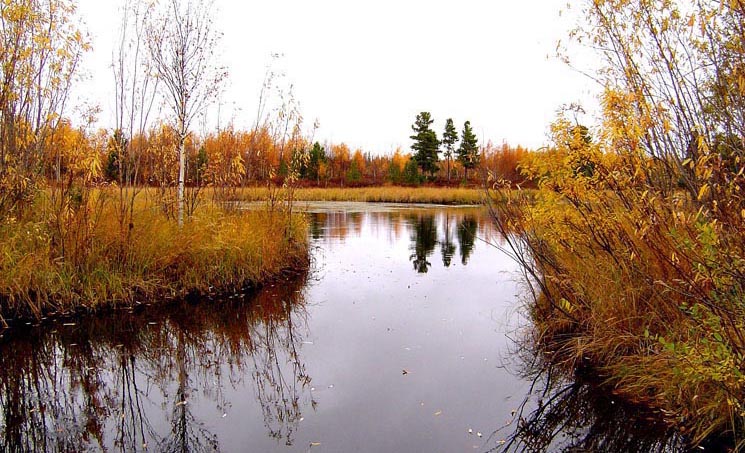 photo "Channel" tags: landscape, autumn, water