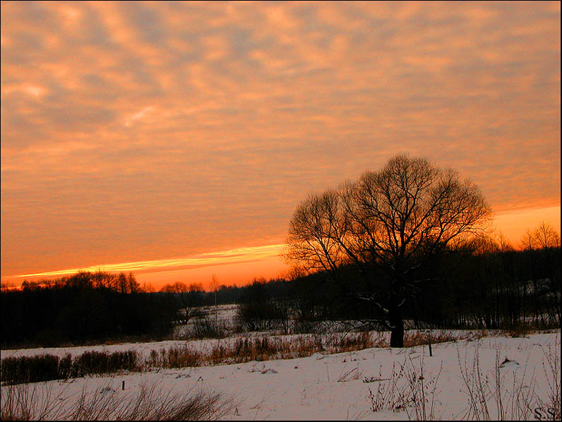 photo "Untitled photo" tags: landscape, sunset, winter