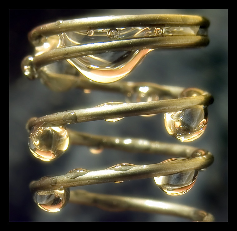 photo "Gold Droplets" tags: macro and close-up, abstract, 