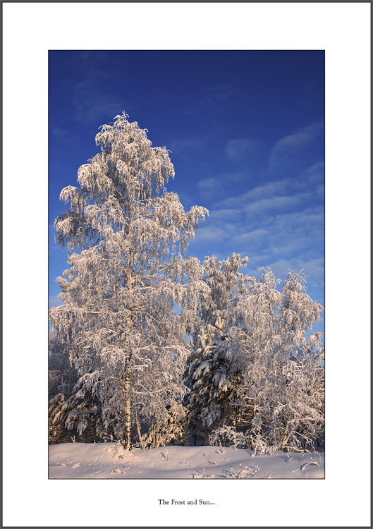 photo "The Frost and Sun..." tags: misc., landscape, winter