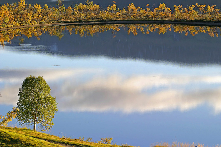 фото "autumn" метки: природа, 