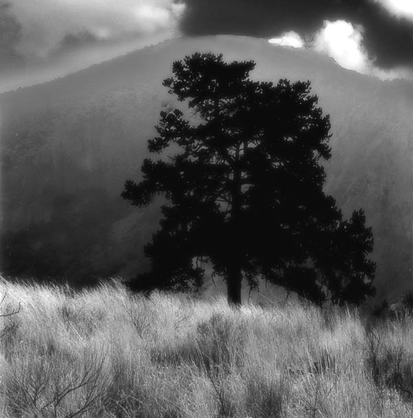 photo "Big Bend Nat. Park" tags: landscape, clouds, mountains