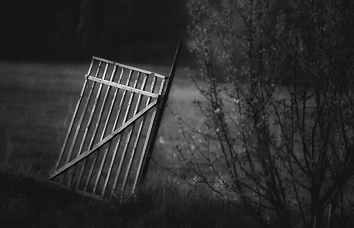 photo "law" tags: black&white, genre, 