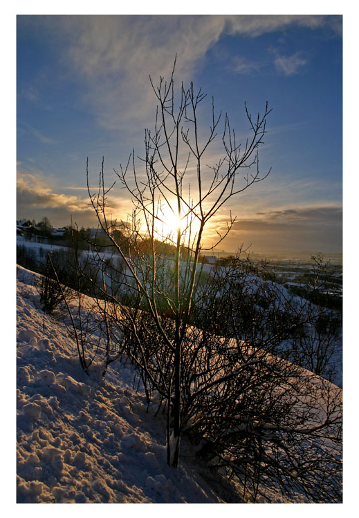 photo "Winter" tags: landscape, winter