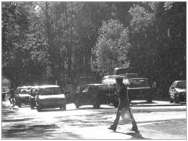photo "Summer Rain" tags: black&white, 