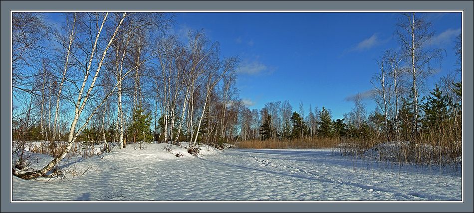 photo "January panorama" tags: landscape, winter