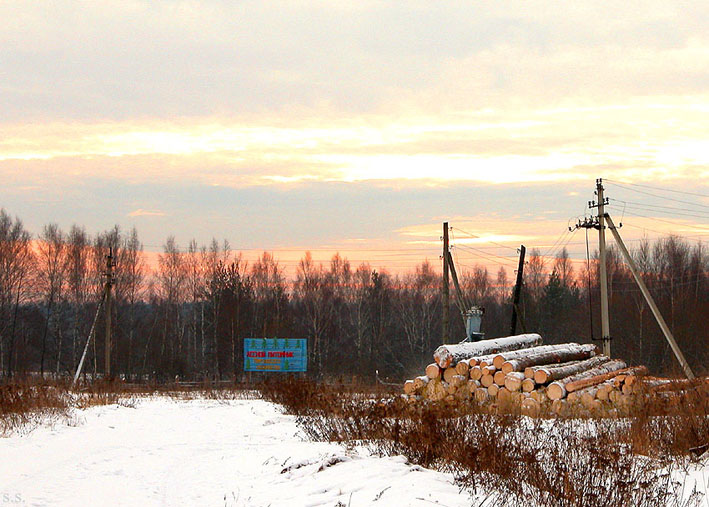 фото "Лесной питомник....(по русски.)" метки: пейзаж, репортаж, лес