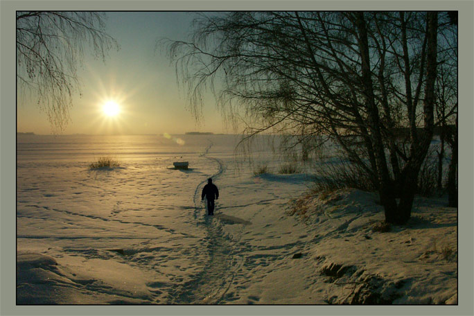 photo "Winter cold day" tags: landscape, winter