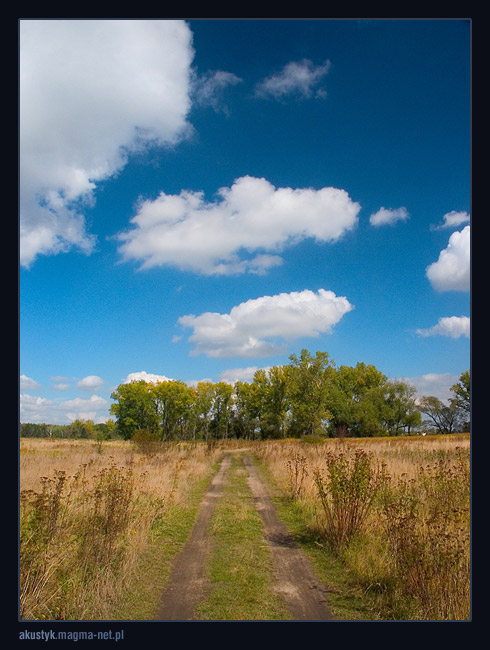 photo "on the road" tags: landscape, clouds, summer