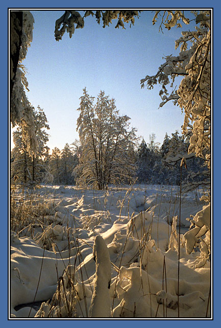 photo "Winter Fairy-tale" tags: landscape, winter