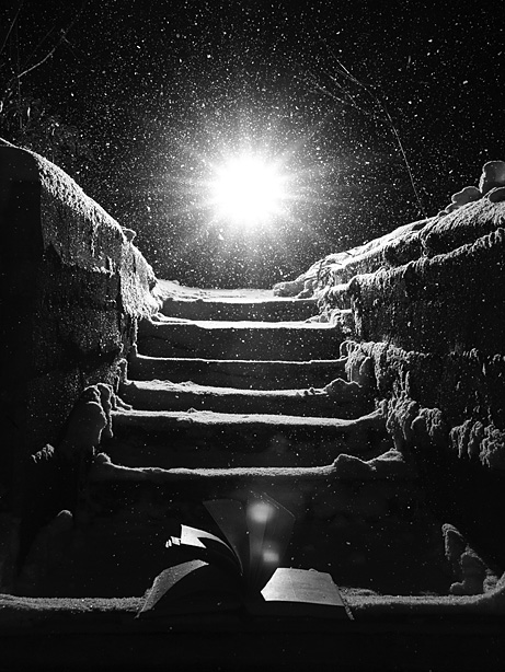 photo "Snowfall" tags: black&white, misc., 