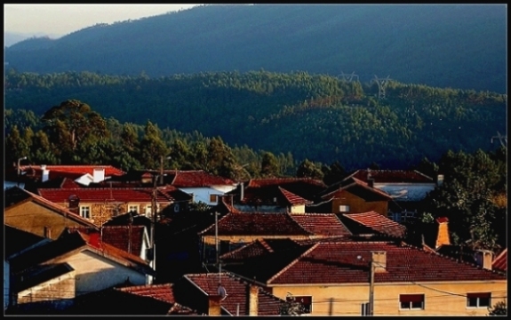 photo "Roofs" tags: landscape, forest, summer