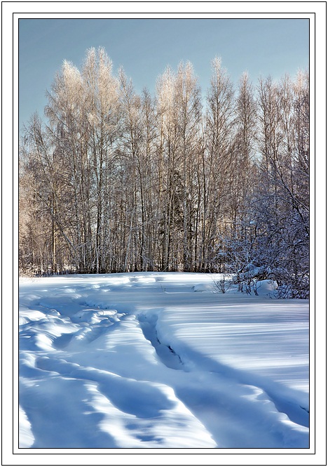 фото "Просто зима" метки: пейзаж, зима