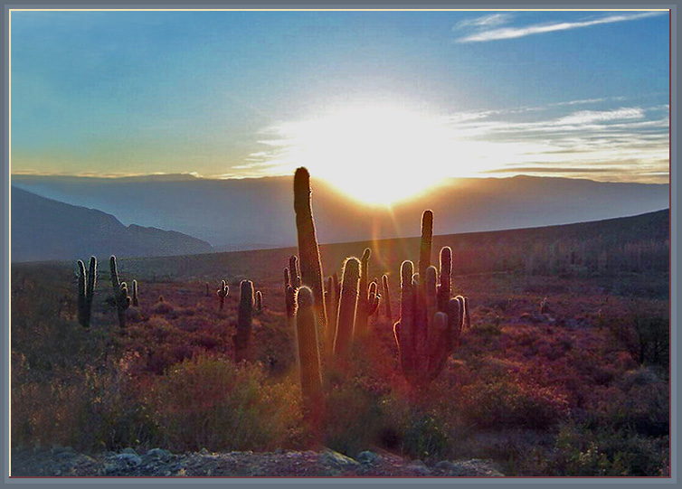 фото "sunset at "Los Cardones"" метки: путешествия, пейзаж, Южная Америка, закат