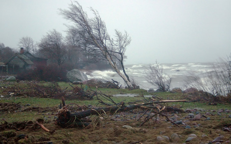 photo "January storm" tags: landscape, water