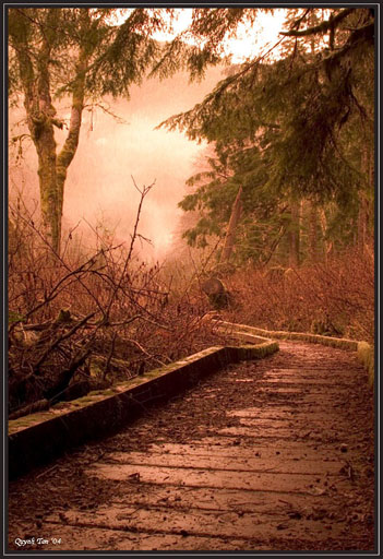 фото "The Road Ahead" метки: пейзаж, архитектура, лес