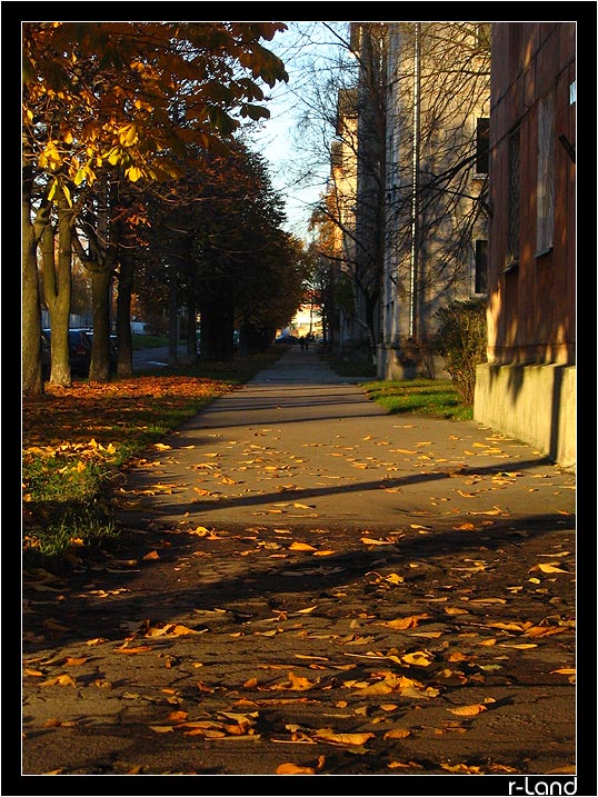 photo "Leavings of Autumn" tags: landscape, nature, autumn