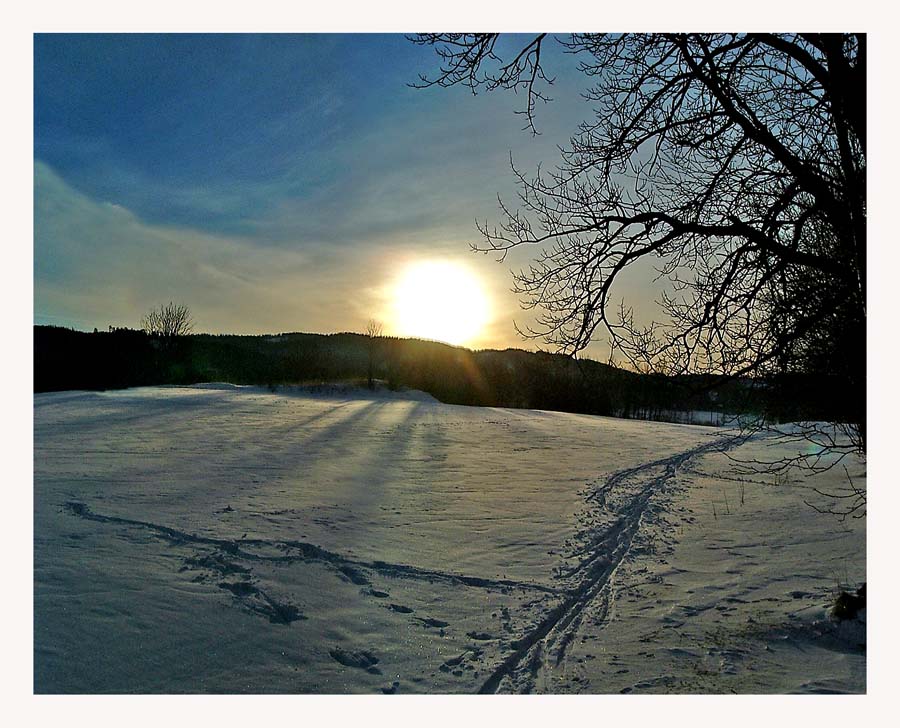 photo "Ski track" tags: landscape, winter