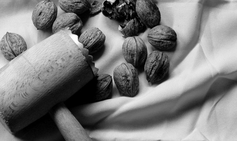 photo "Life is breaking the problems" tags: still life, abstract, 