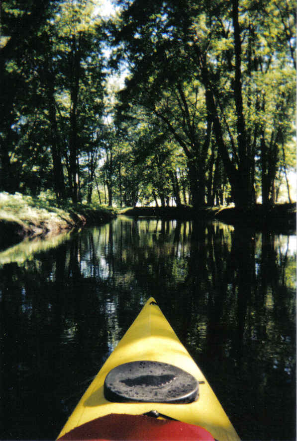 photo "Still Waters" tags: landscape, forest, summer