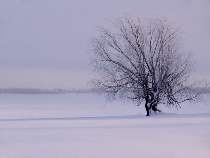 photo "syberian winter" tags: landscape, travel, Asia, winter